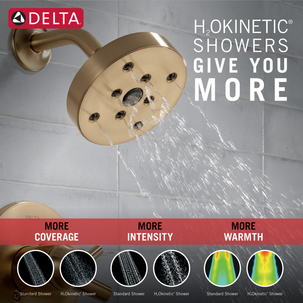 T17259-CZ_H2Okinetic Showers_Infographic_WEB.jpg